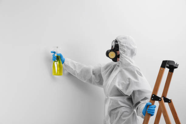 Best Mold Damage Restoration  in St Charles, MN